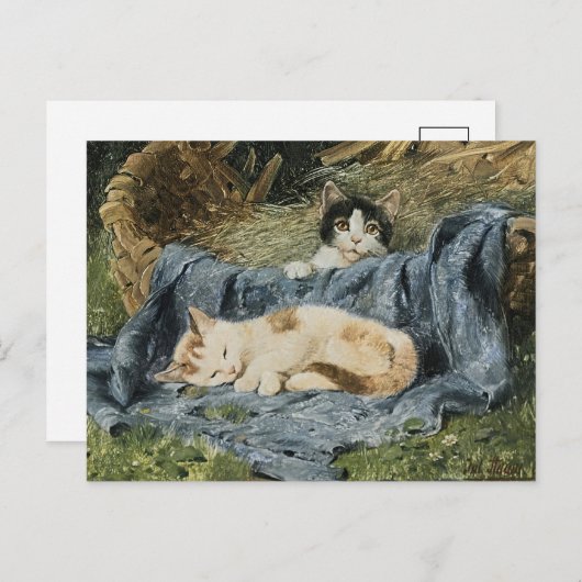Carte Postale Deux chatons | Julius Adam le Jeune (Devant / Derrière)