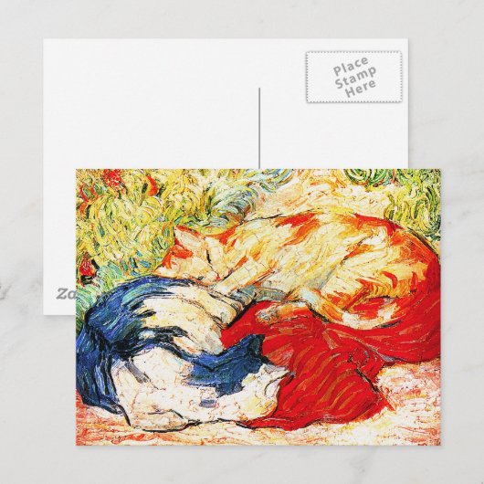 Carte postale : Deux chats (Devant / Derrière)