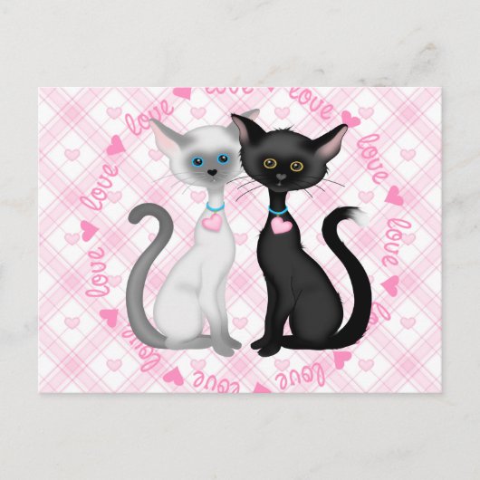 Carte Postale Deux chats mignons en amour (Devant)