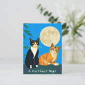Carte Postale Deux chats sous la Pleine lune (Debout devant)