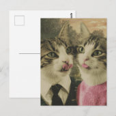 Carte Postale Deux chats stupides (Devant / Derrière)