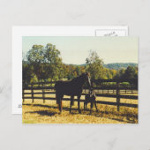 Carte Postale deux chevaux (Devant / Derrière)