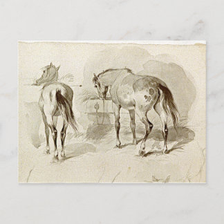 Carte Postale Deux chevaux au Manger