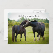 Carte postale Deux Chevaux Brown (Devant / Derrière)