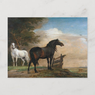 Carte Postale Deux chevaux dans le pâturage