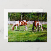 Carte Postale Deux Chevaux de Peinture broutant (Devant / Derrière)