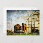 Carte Postale Deux Chevaux Prêts Pour Le Travail (Devant / Derrière)