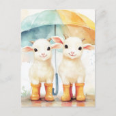 Carte Postale Deux chèvres bébés par jour de pluie (Devant)
