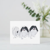 Carte Postale Deux Chiens Japonais (Debout devant)