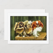 Carte Postale Deux Chiens Pekingese (Devant / Derrière)