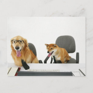 Carte Postale Deux chiens portant cravate et lunettes, assis sur