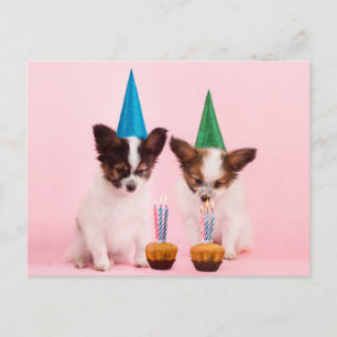 Carte Postale Deux chiots mignons / avec chapeaux et bougies d'a