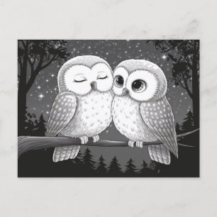 Carte Postale Deux Chouettes