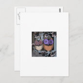 Carte Postale deux chouettes (Devant / Derrière)