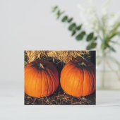 Carte Postale Deux Citrouilles Vintages (Debout devant)