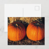 Carte Postale Deux Citrouilles Vintages (Devant / Derrière)