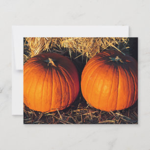 Carte Postale Deux Citrouilles Vintages