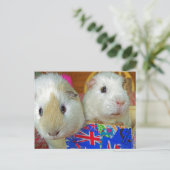Carte Postale deux cochons blancs (Debout devant)