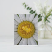 Carte Postale Deux coeurs sur marguerite (Debout devant)