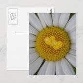 Carte Postale Deux coeurs sur marguerite (Devant / Derrière)