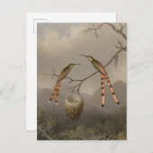 Carte Postale Deux colibris avec leur jeune (Devant / Derrière)