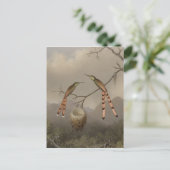 Carte Postale Deux colibris avec leur jeune (Debout devant)