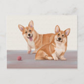 Carte Postale Deux Corgis mignons (Devant)