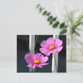 Carte Postale Deux Cosmos Rose à travers la grille de porche (Debout devant)