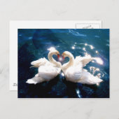 Carte Postale Deux cygnes (Devant / Derrière)