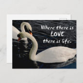 Carte Postale Deux cygnes sur le lac (Devant / Derrière)