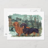 Carte Postale Deux Dachshunds dans la ville (Devant / Derrière)
