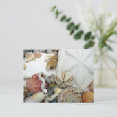 Carte postale Deux Dollars des Sables vierge (Debout devant)