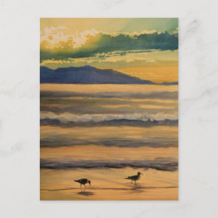 Carte Postale "Deux d'une espèce" Oiseaux sur la plage à l'aquar