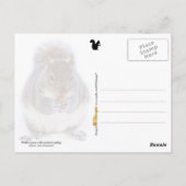 Carte Postale Deux écureuils mangent des noix (Dos)