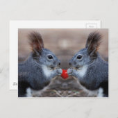 Carte Postale Deux écureuils tenant un coeur à lire (Devant / Derrière)