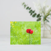 Carte Postale Deux fleurs de tulipes rouges (Debout devant)