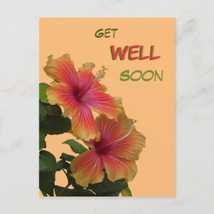 Carte Postale Deux fleurs d'hibiscus orange - Souhaits de rétabl