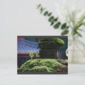 Carte Postale Deux fougères (Debout devant)