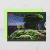 Carte Postale Deux fougères (Devant / Derrière)