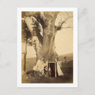 Carte Postale Deux garçons à la porte de leur maison de retraite