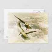 Carte Postale Deux goélands (Devant / Derrière)