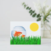 Carte Postale Deux Goldfish Sun Spring Equinox Grass (Debout devant)