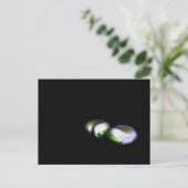 Carte Postale Deux gros haricots pca (Debout devant)