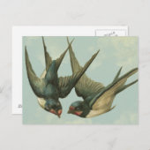 Carte Postale Deux hirondelles Vintages (Devant / Derrière)