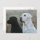 Carte postale Deux laboratoires (Devant / Derrière)