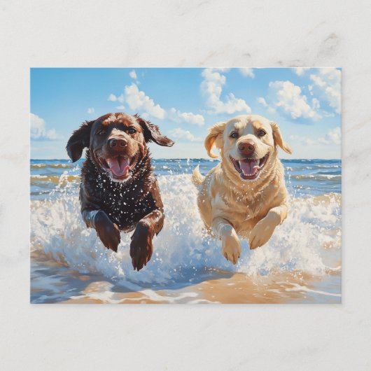 Carte Postale Deux Labrador Retrievers sur la plage (Devant)