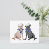 Carte Postale Deux Labradors Retrievers (Debout devant)