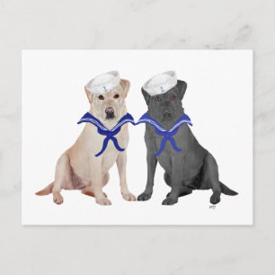 Carte Postale Deux Labradors Retrievers