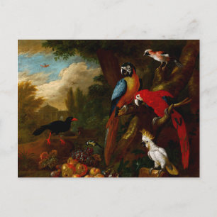 Carte Postale Deux Macaws un Cockatoo et une Jay aux fruits