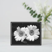 Carte Postale Deux marguerites (Debout devant)